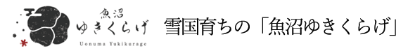 魚沼ゆきくらげ